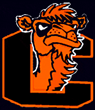 Campbell Fighting Camels 1996-2004 Alternate Logo t shirts iron on transfers